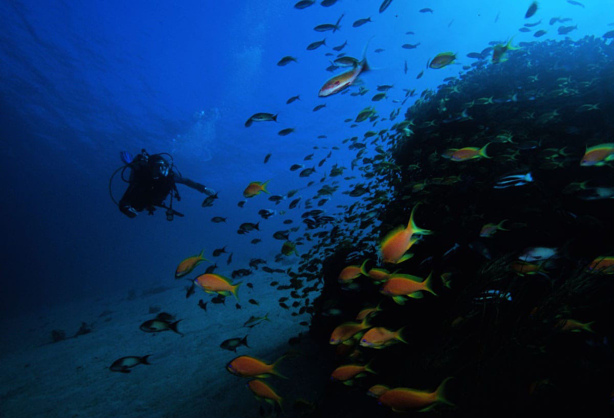 The safest & best places for scuba diving in 2022.