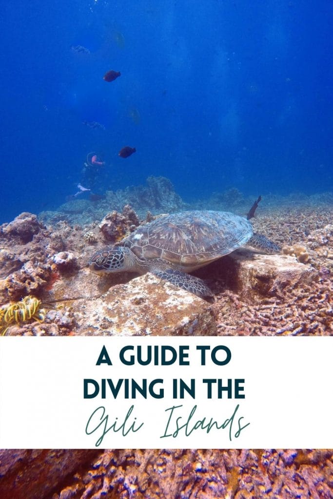 Pin for Diving in Gili Islands