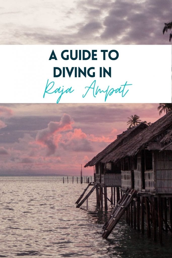Pin for Dive Raja Ampat