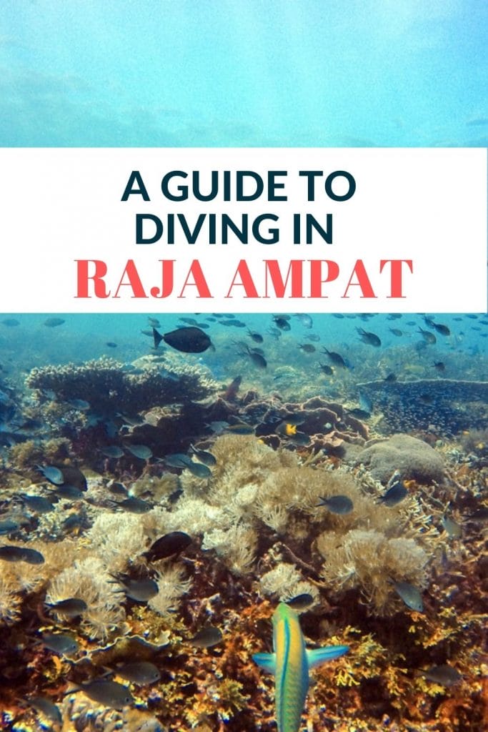 Pin for Dive Raja Ampat