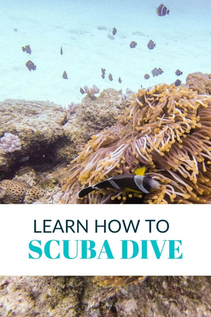 Pin for Open Water Scuba Certification