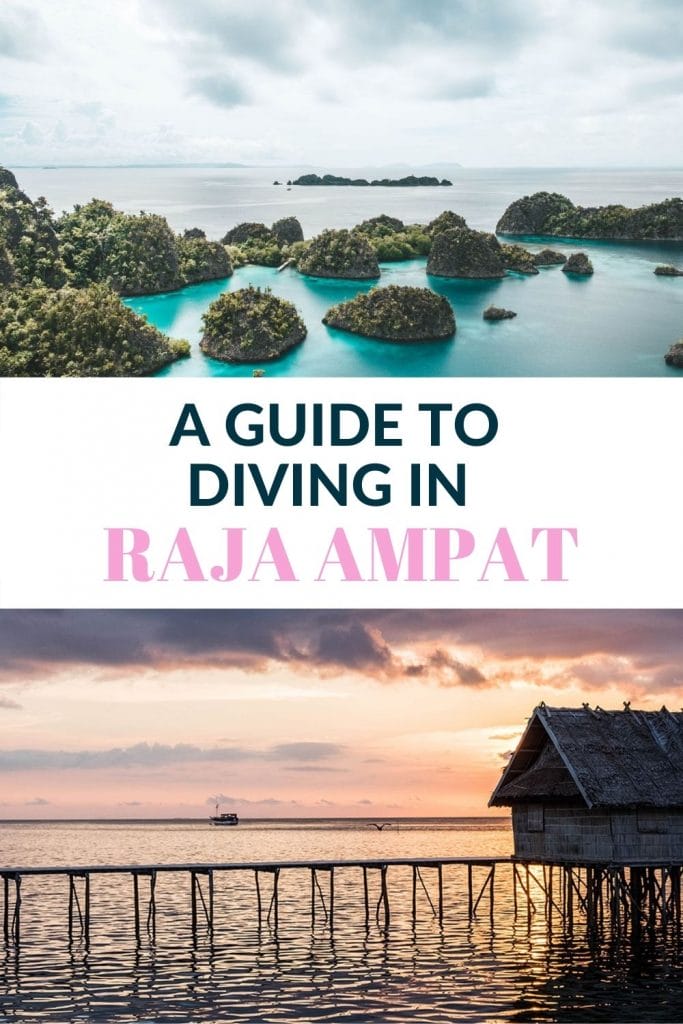 Pin for Dive Raja Ampat