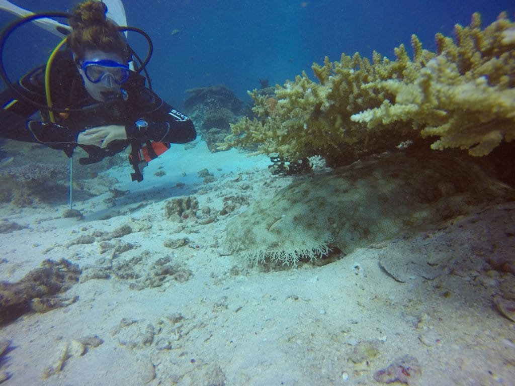 Advanced Open Water Diver