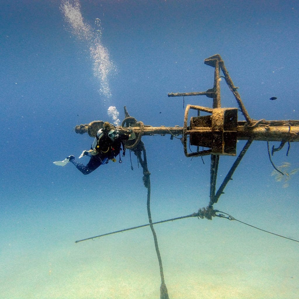 Advanced Open Water Diver