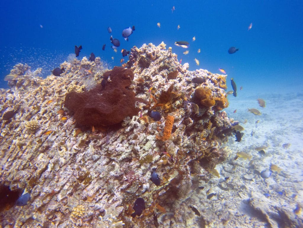 Diving in Gili Islands