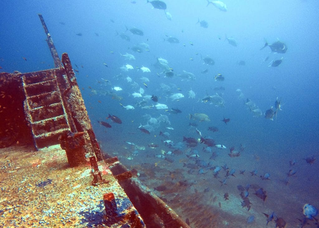 Diving in Gili Islands