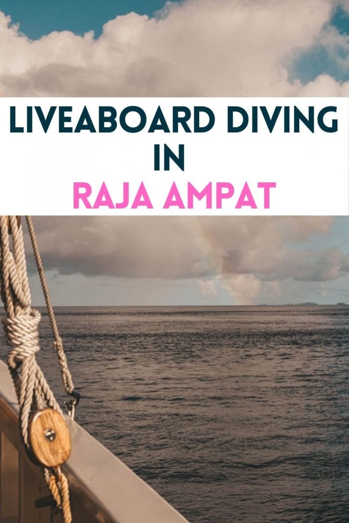 pin for raja ampat liveaboard