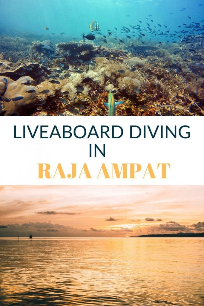 pin for raja ampat liveaboard