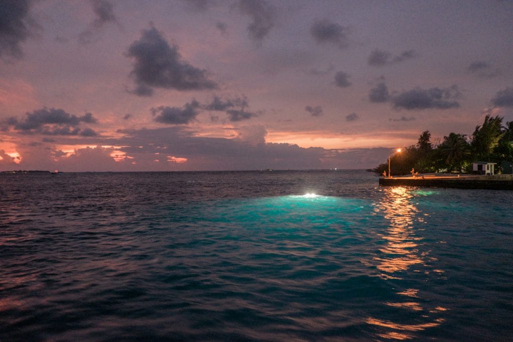 Blue Force One Maldives