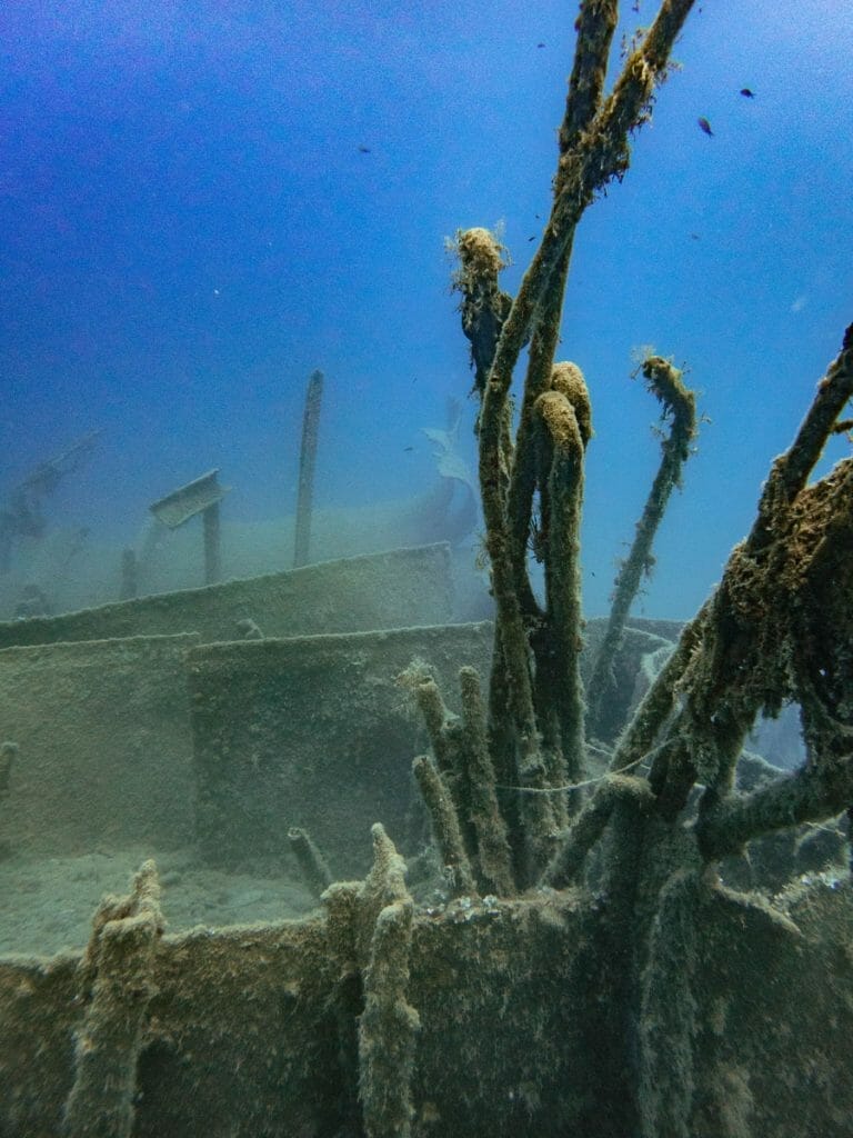 Minnewaska Wreck in Crete
