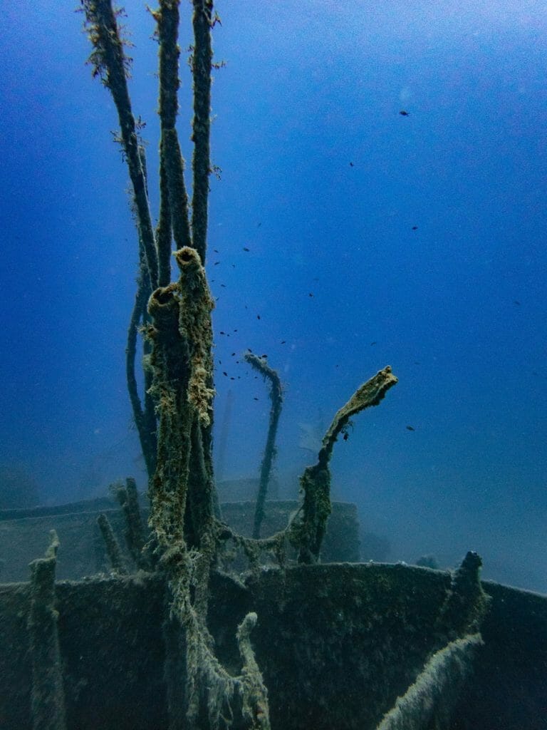 Minnewaska Wreck in Crete