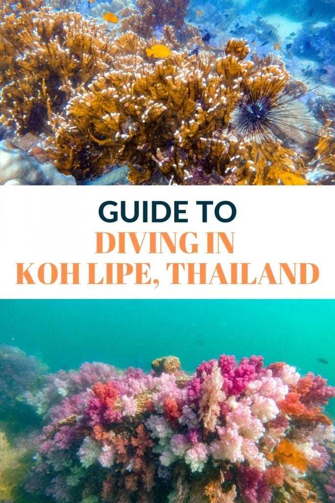 pin for diving in Koh lipe