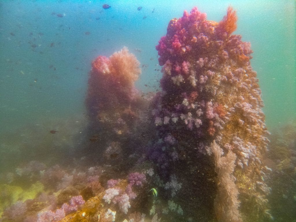Diving in Koh Lipe