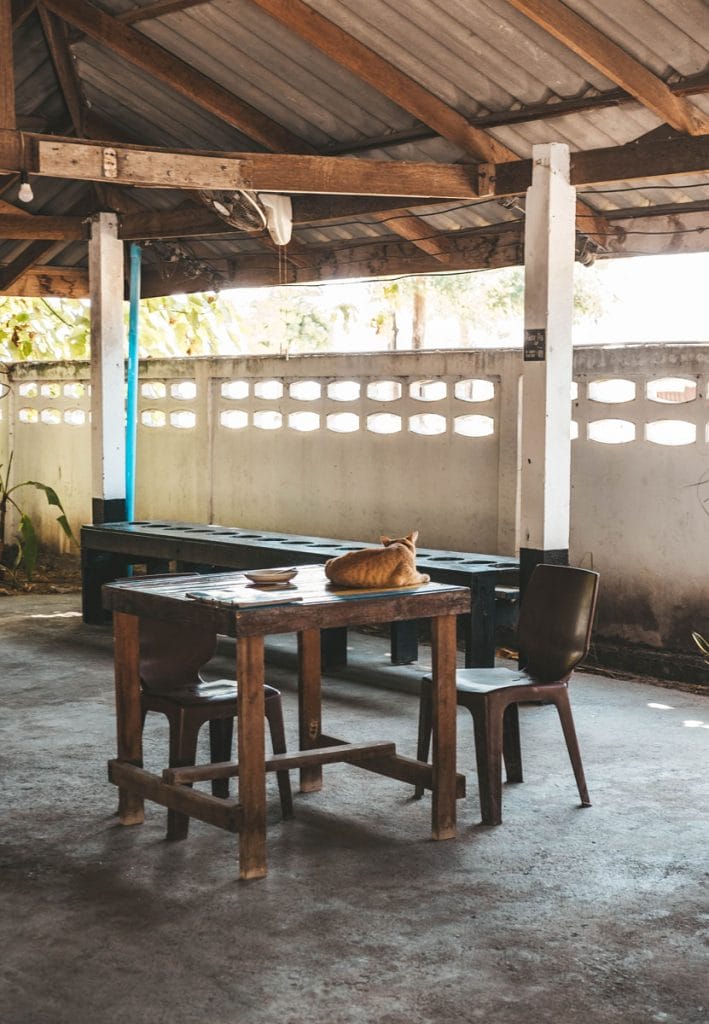 Diving in Koh Lipe
