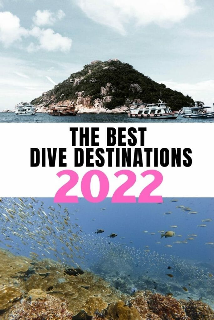 Pin for Best dive destinations