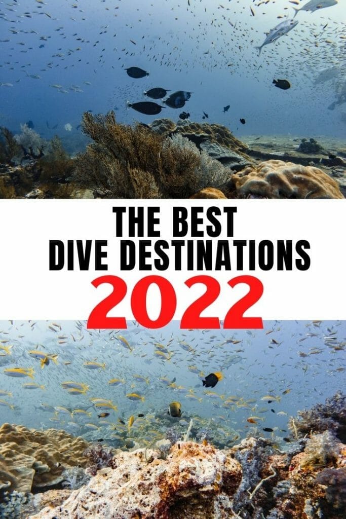 Pin for Best dive destinations