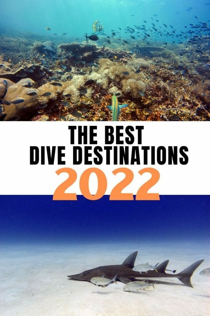 Pin for Best dive destinations
