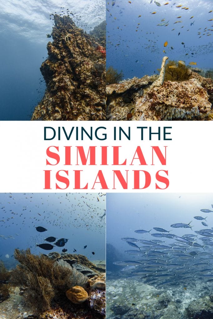 Pin for Diving in the Similan Islands