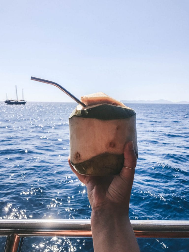 hand holding coconut with straw