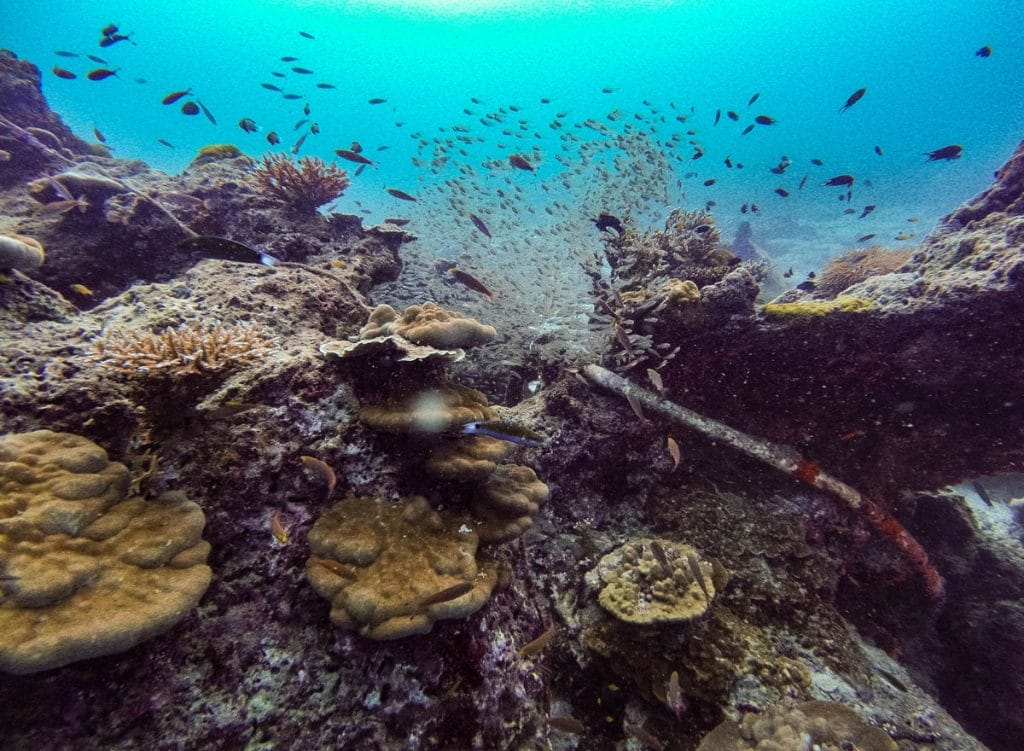 Koh Chi dive site