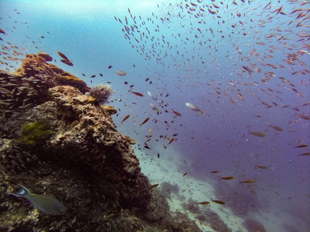 Koh Chi dive site