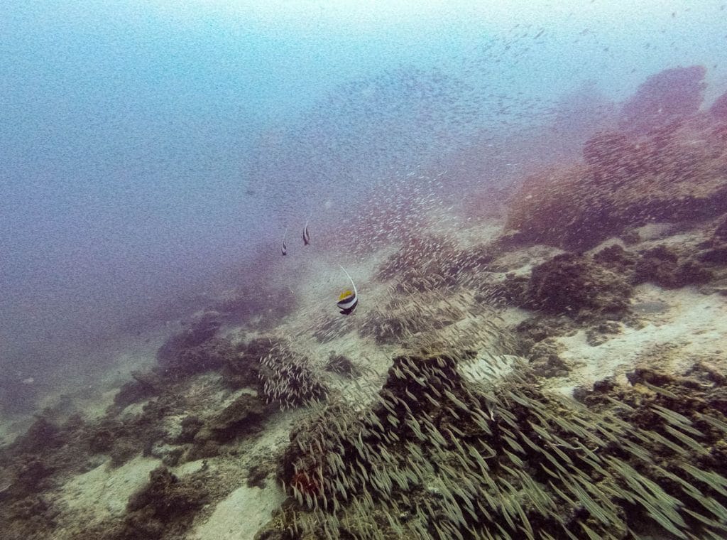 Koh Chi dive site
