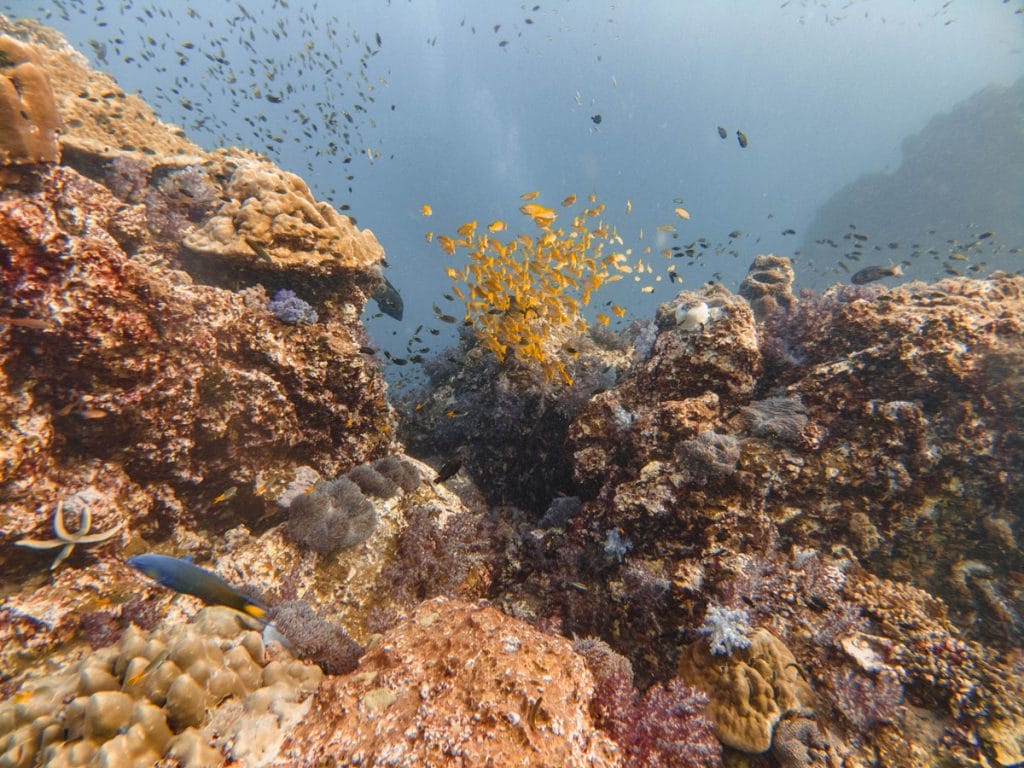 Richelieu Rock dive site