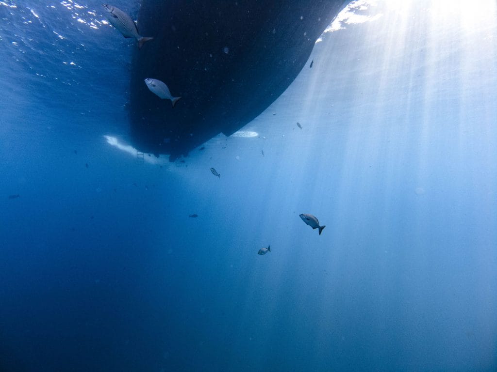 boat from below at tachai pinnacle dive site