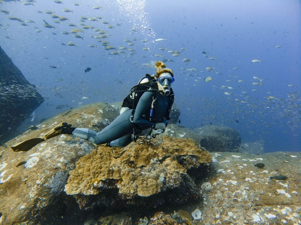 annika ziehen diving at tachai pinnacle dive site