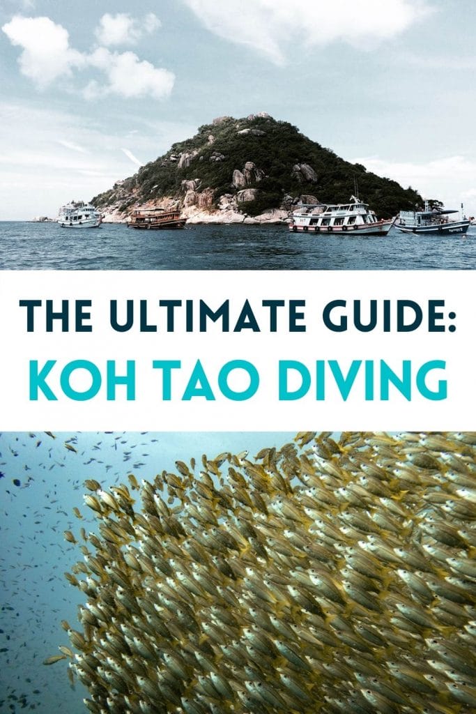 Pin for Koh Tao Scuba Diving