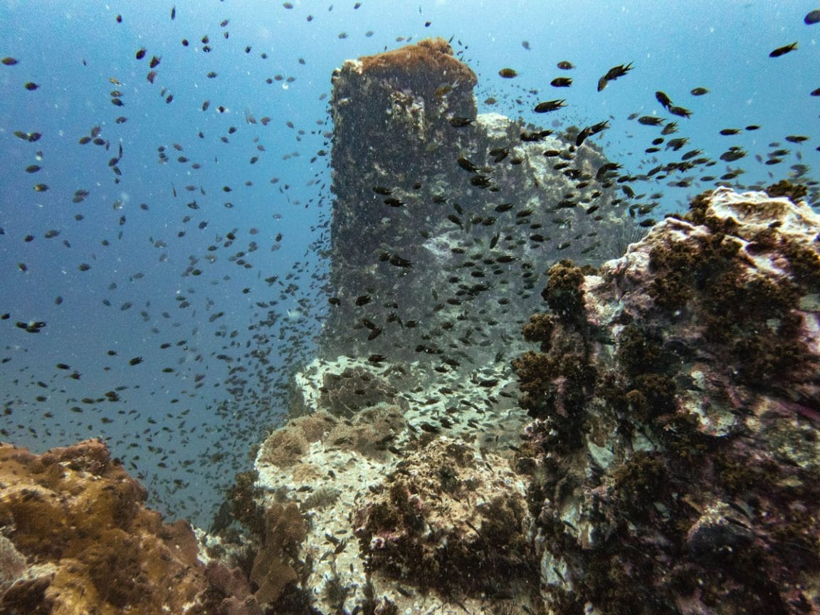 Rocks and reef fish at Chumphon Pinnacle
