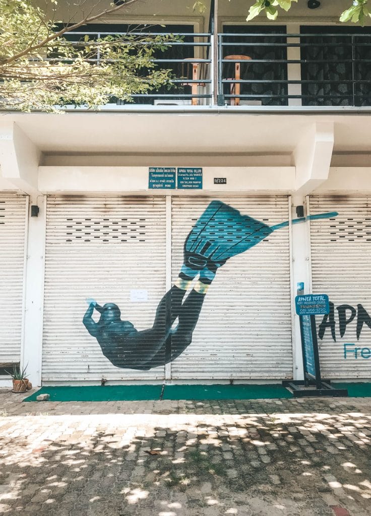 Apnea diver painting on garage door