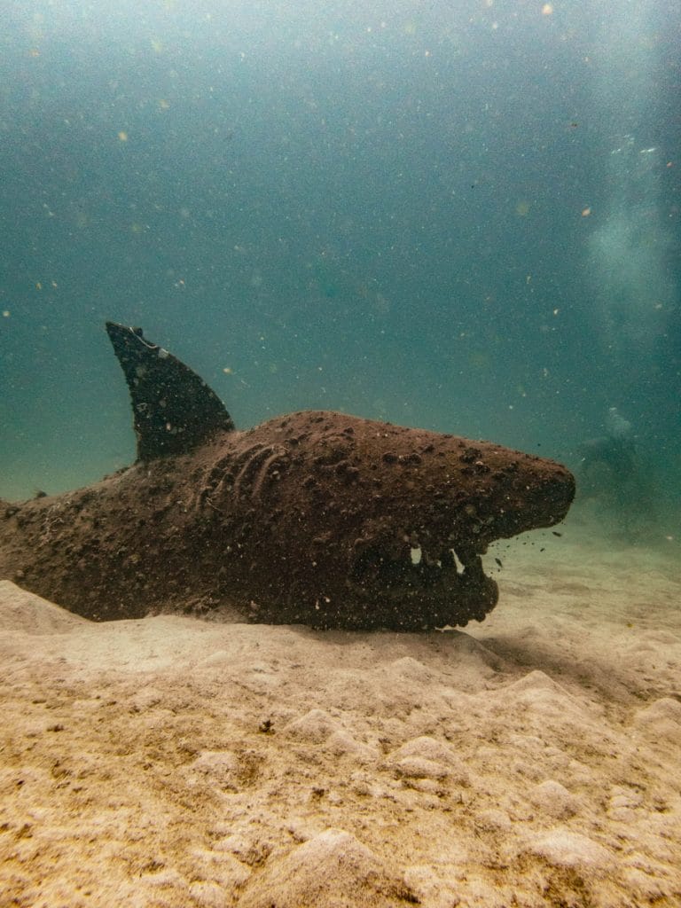 Concrete shark at Buoyancy World