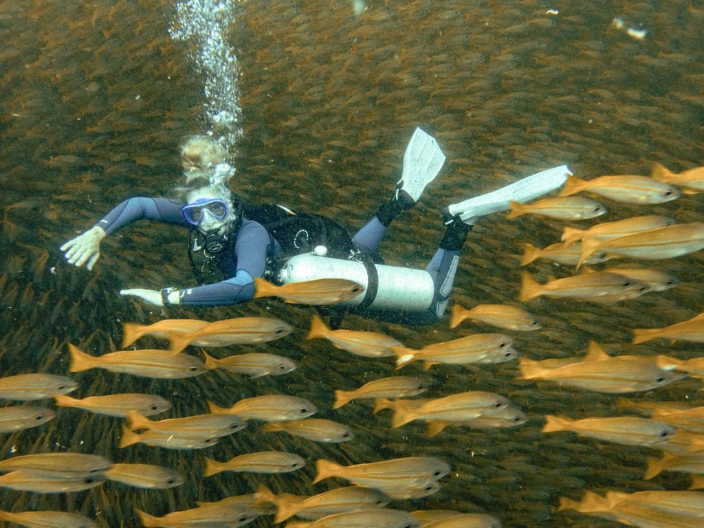 Annika Ziehen diving Sidemount and yellow fish