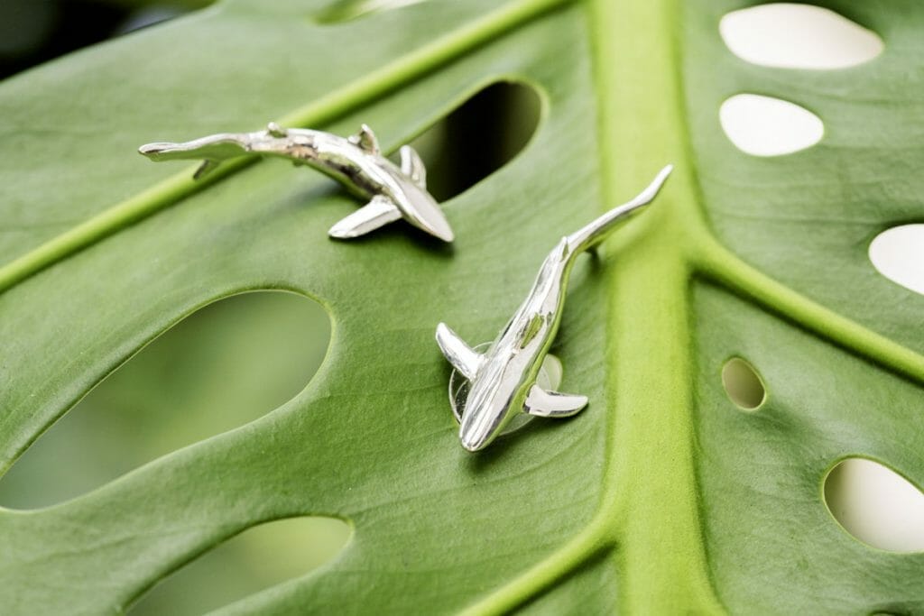 Alohi Kai silver sharks