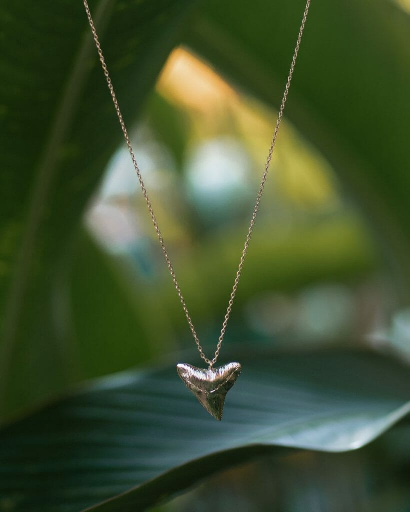 VANDAYA shark tooth necklace