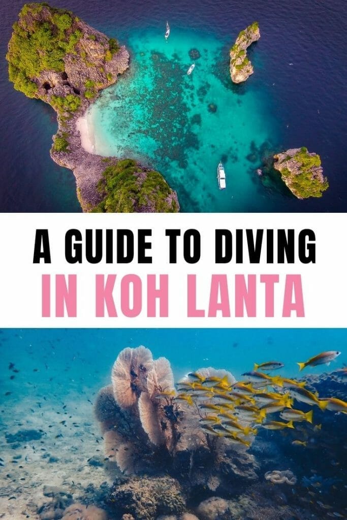 Pin for Koh Lanta Diving