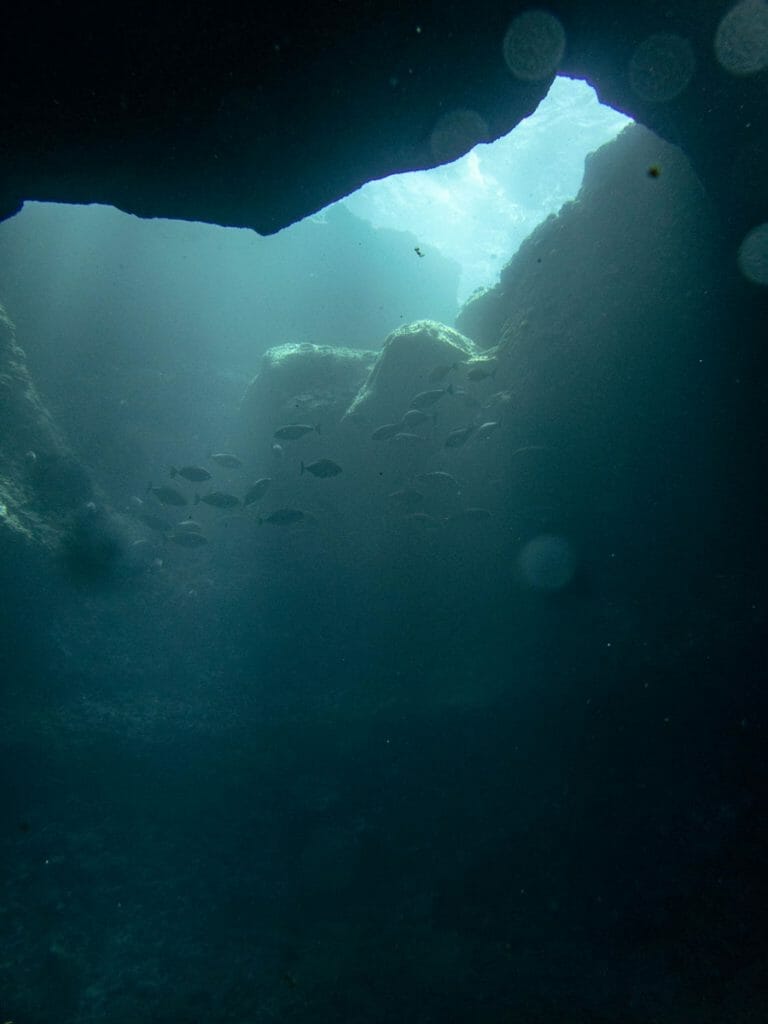 Cathedral dive site at Snake Island