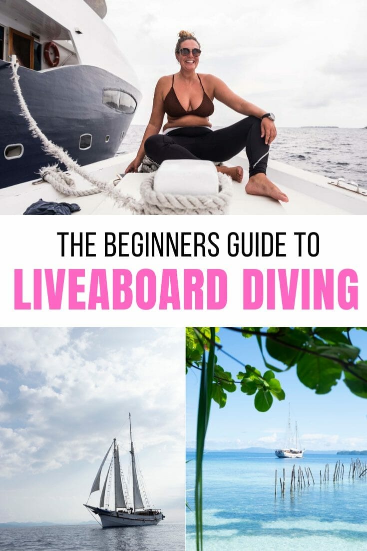 Pin for liveaboard diving for beginners guide