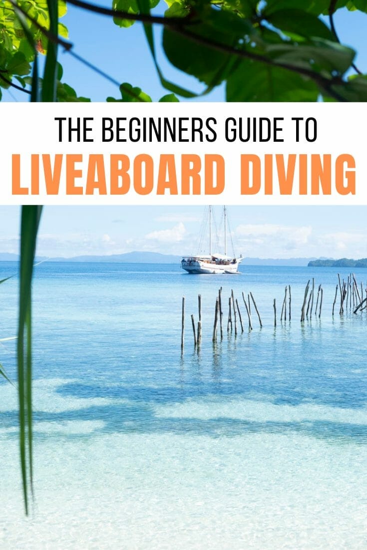 Pin for liveaboard diving for beginners guide