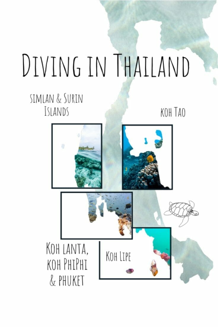 Pin for diving in Thailand