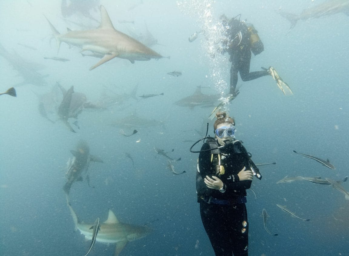 Annika Ziehen diving in aliwal shoal surrounded by sharks