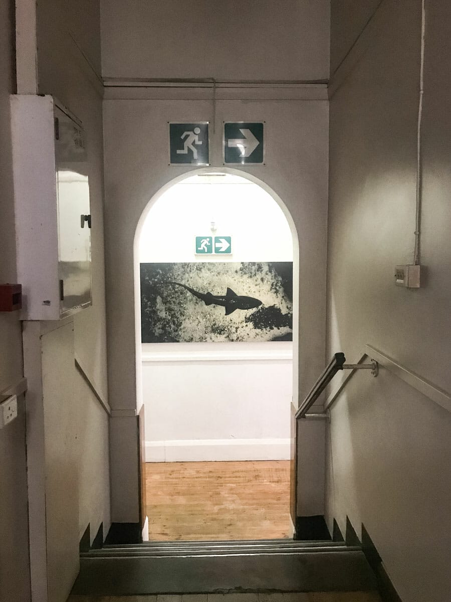 Hallway with shark poster