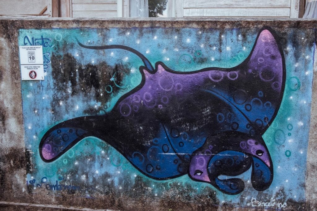 Mural of manta ray