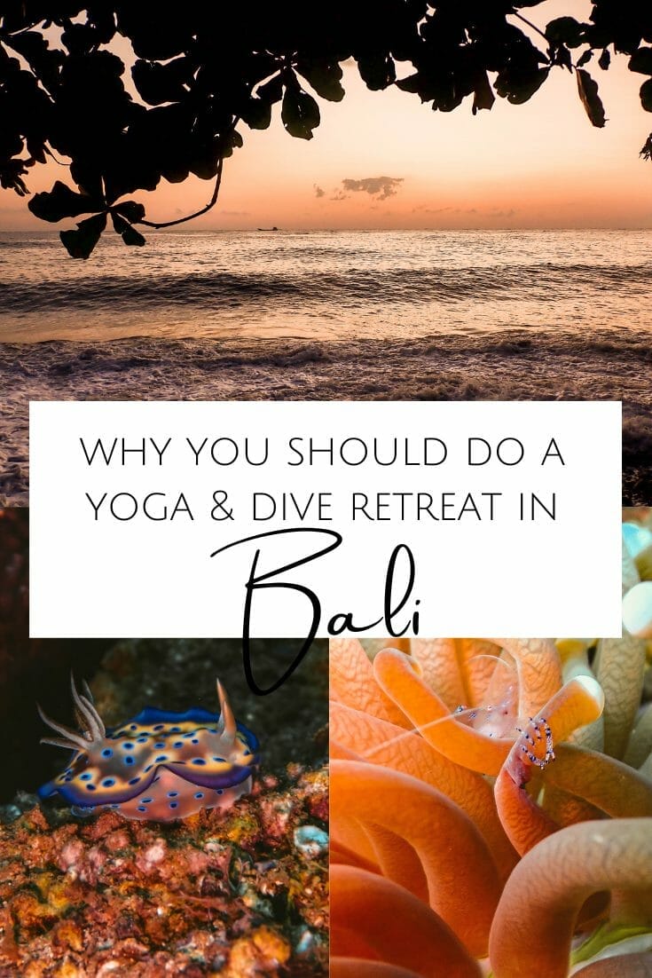Pin for yoga and diving retreat
