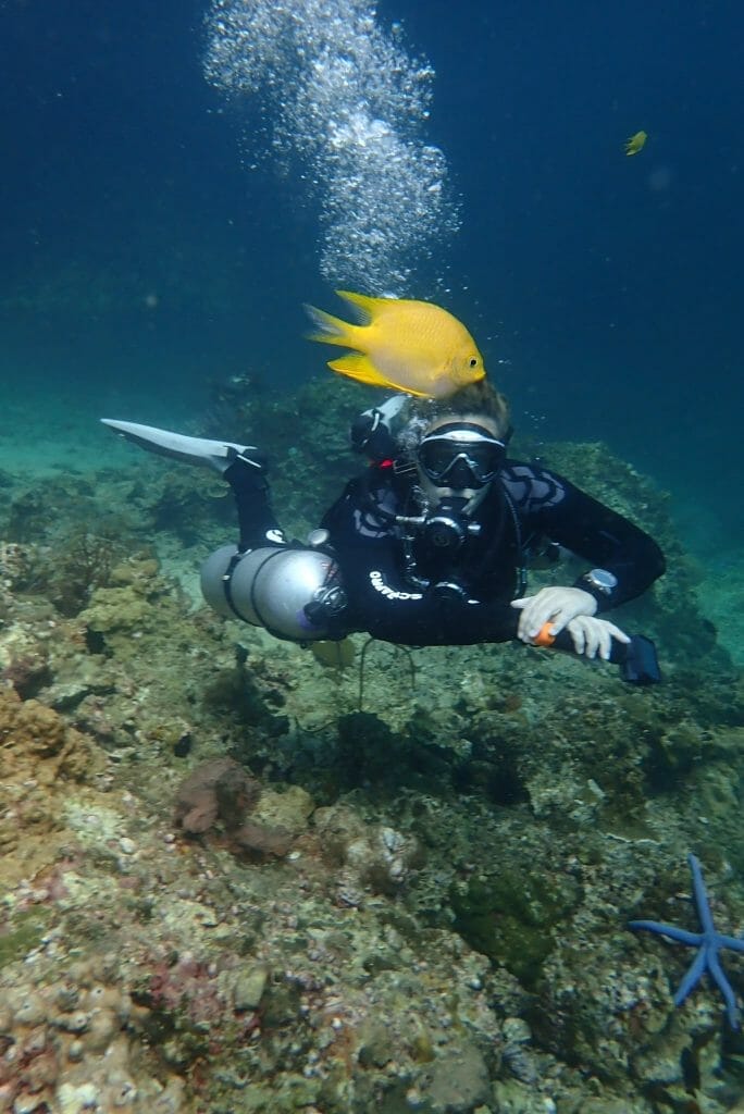 Annika Ziehen diving in Koh Phi Phi with sidemount and yellow fish photobombing