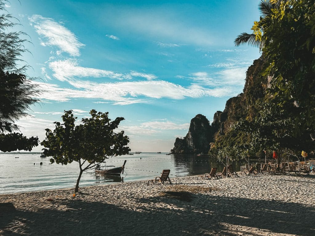 longtail and tree on the beach in koh phi phi