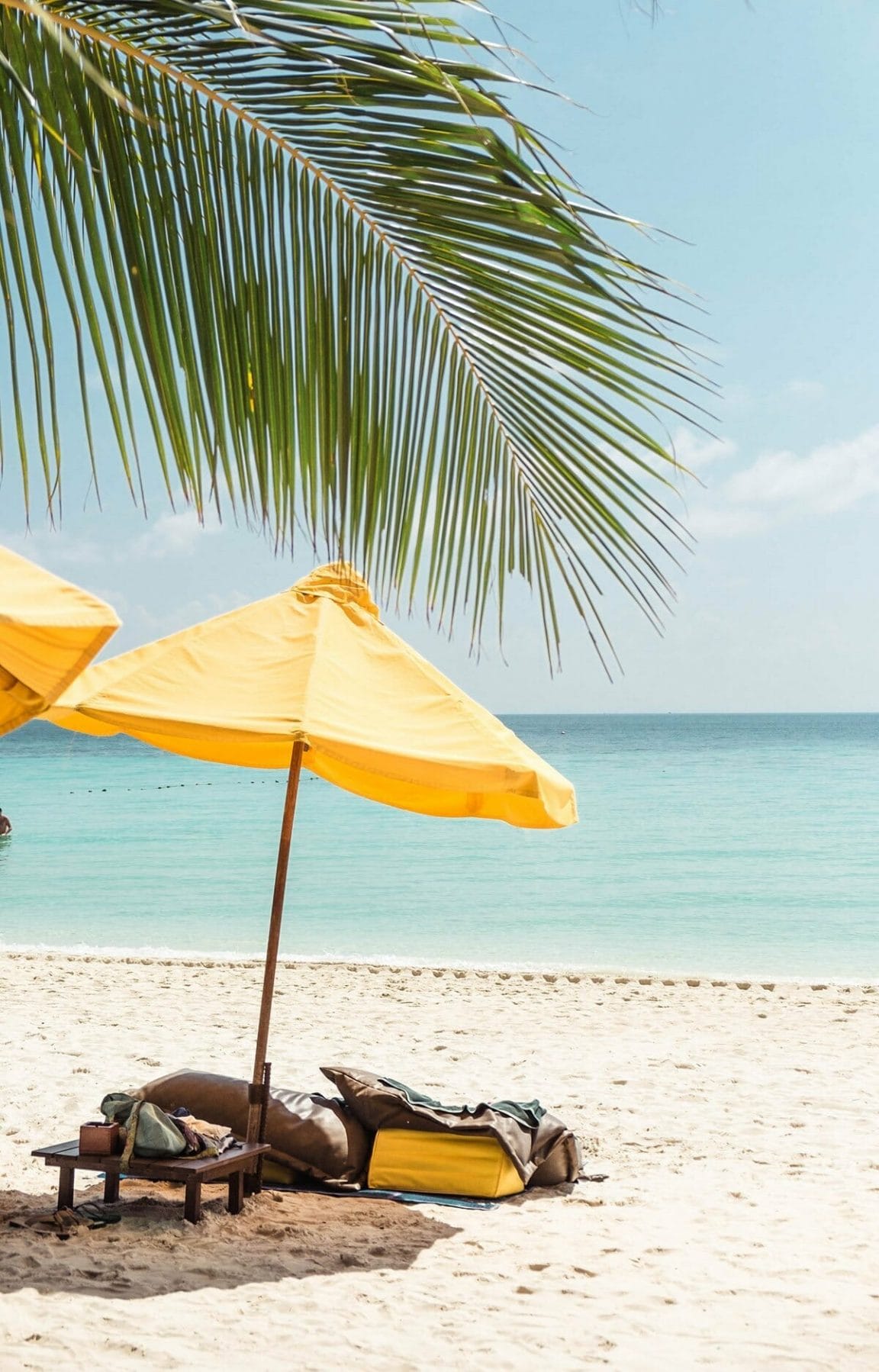 yellow umbrella under palmtree on the beach