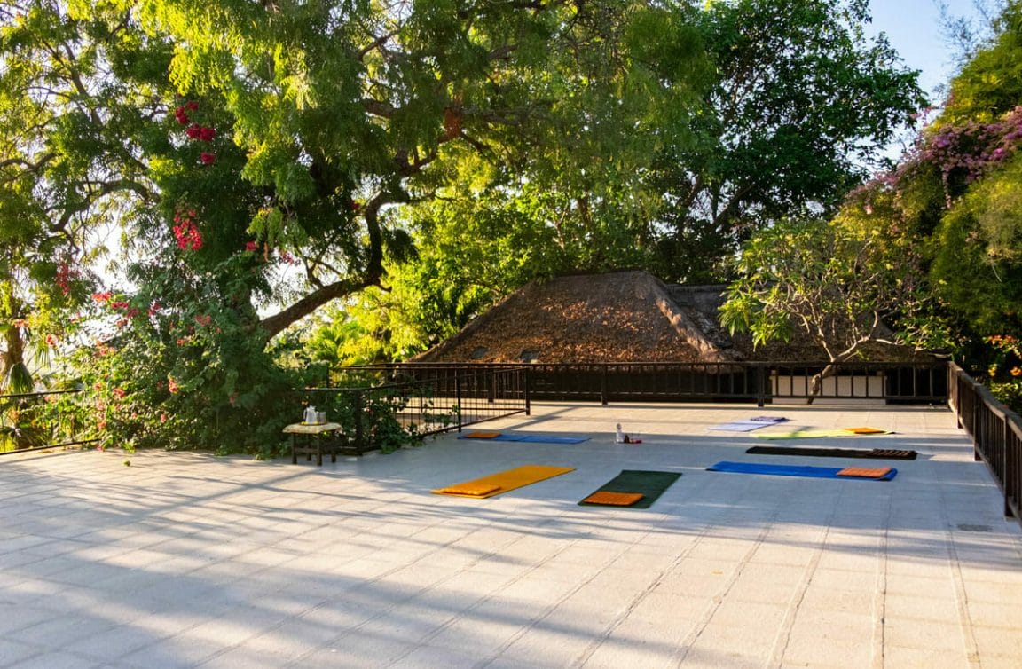 Yoga mats set up on a sunny roof with trees