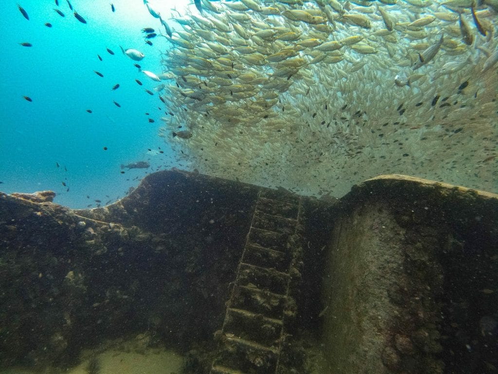 fish shoal over ladder at Kled Gaeow Wreck in phi phi